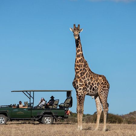 Villa Safari Plains à Mabula Game Reserve Extérieur photo