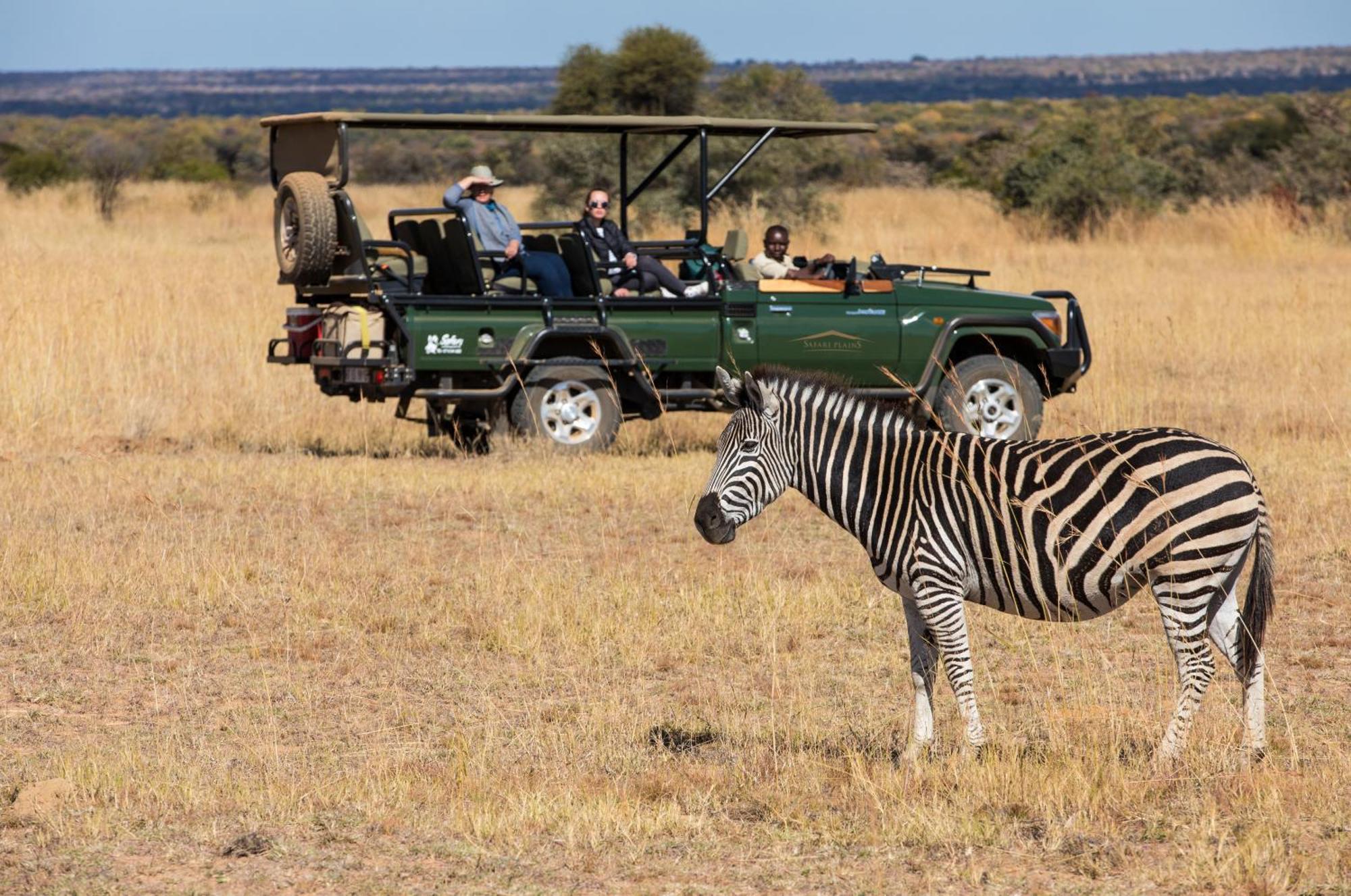 Villa Safari Plains à Mabula Game Reserve Extérieur photo