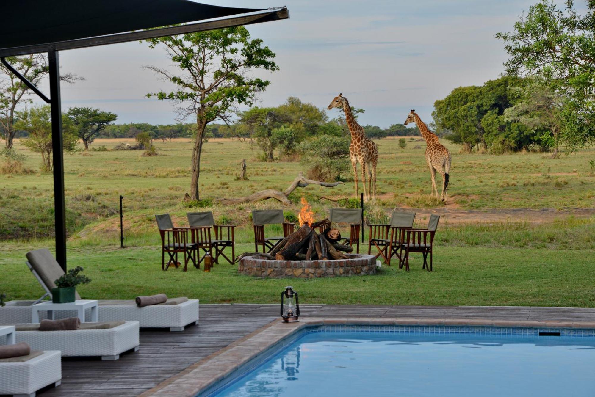 Villa Safari Plains à Mabula Game Reserve Extérieur photo
