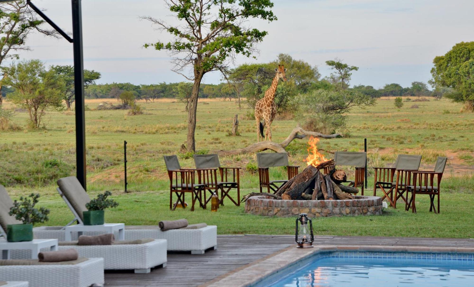 Villa Safari Plains à Mabula Game Reserve Extérieur photo
